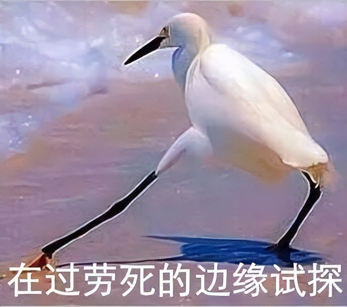 英超西汉姆联vs伯恩茅斯,西汉姆联对伯恩茅斯比分预测