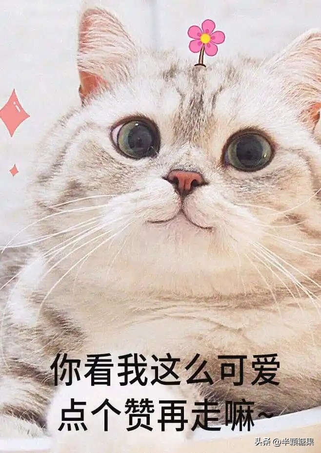 爆笑神回复:讲真心话,情侣间做过最夸张的事是什么?