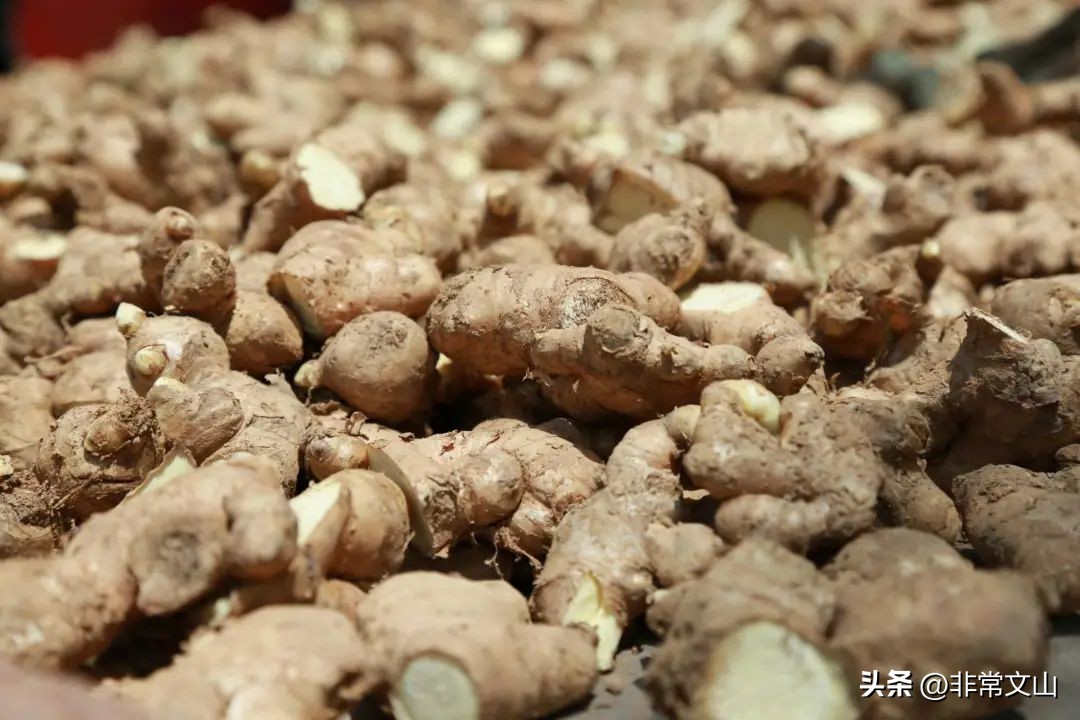 快点，文山一批“宝藏”项目等你加入！