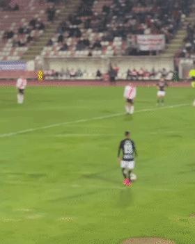 狗冲进足球场挡住一粒进球,小狗进足球场扑球