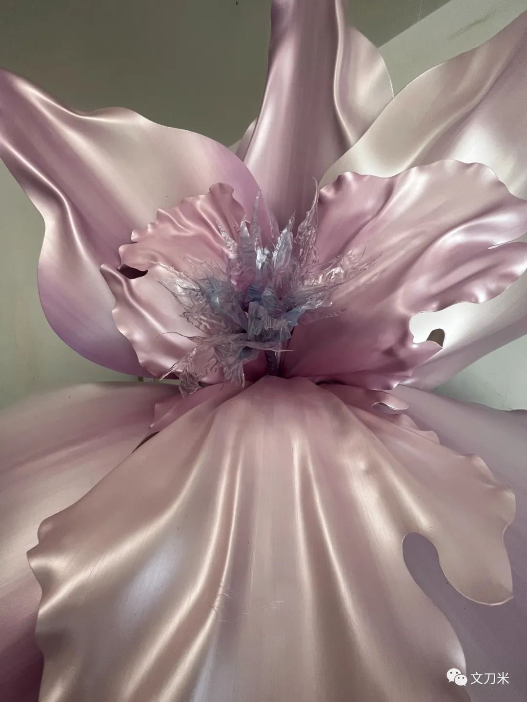 34岁转行即火|大品牌、明星争相找这位新手做花