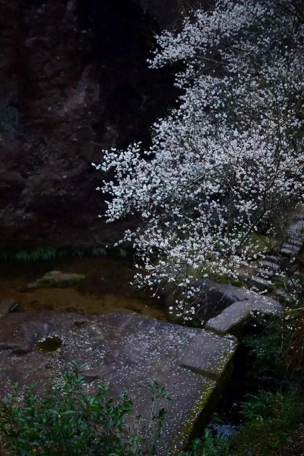 雨水哲理,雨水的好句