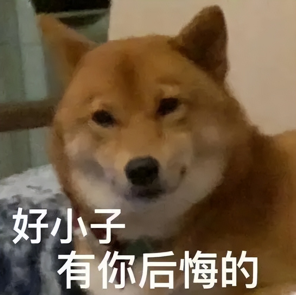 小米13pro实体店降价了吗,小米13pro开卖了吗