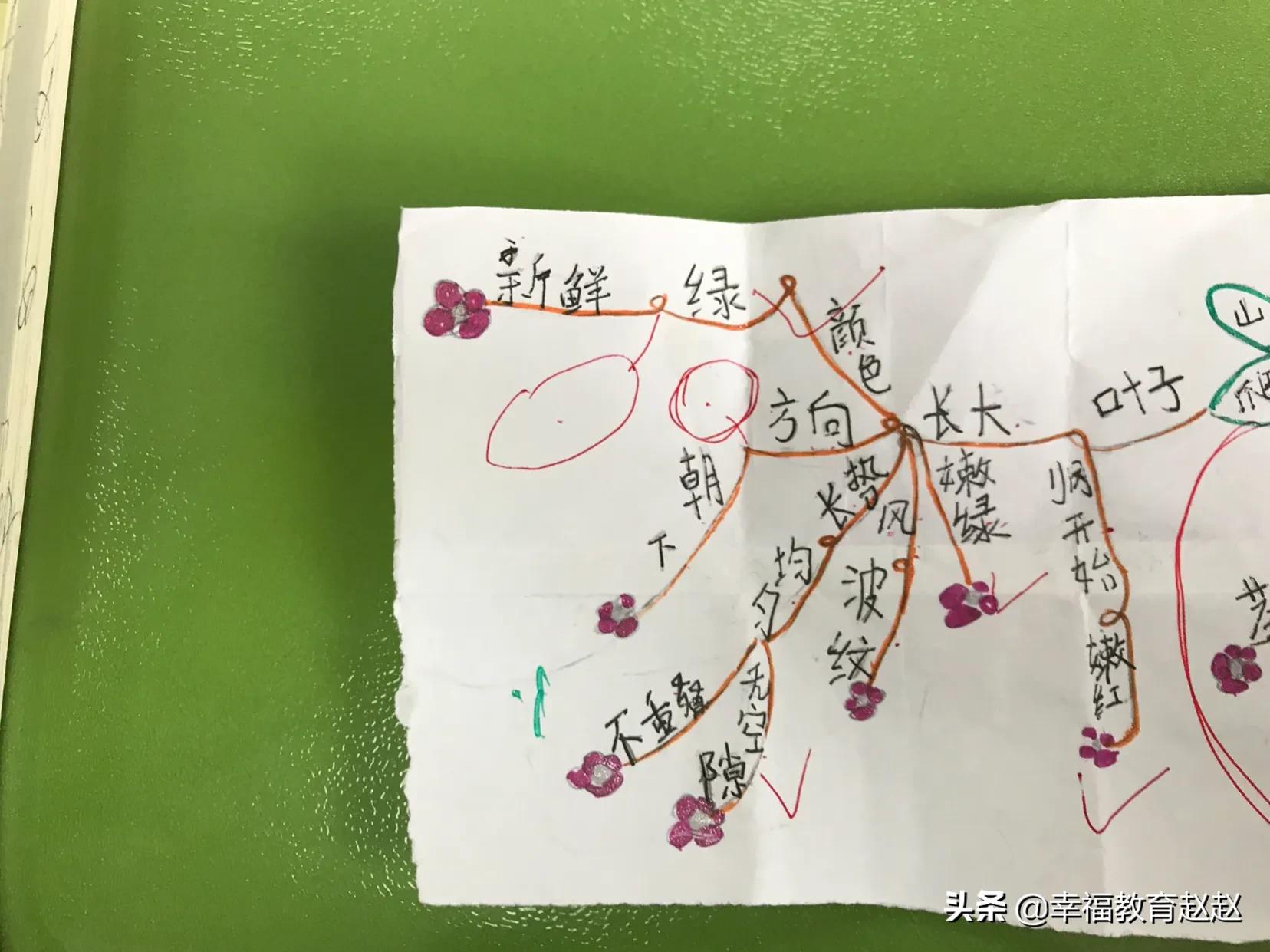 爬山虎的脚思维导图怎么画图片,爬山虎的脚思维导图绘画过程