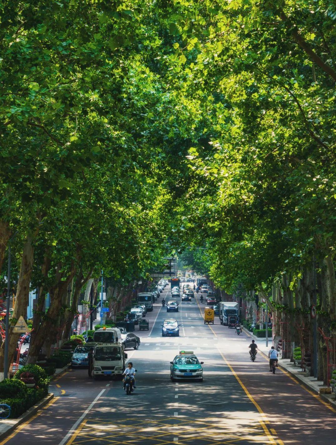 济南值得推荐的休闲好去处,济南必逛风景点