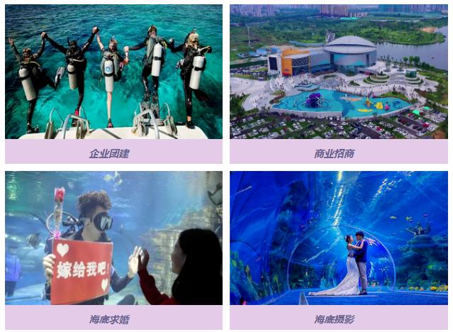 滨州海底世界5.1演出时间表,滨州海底世界39.9团购票