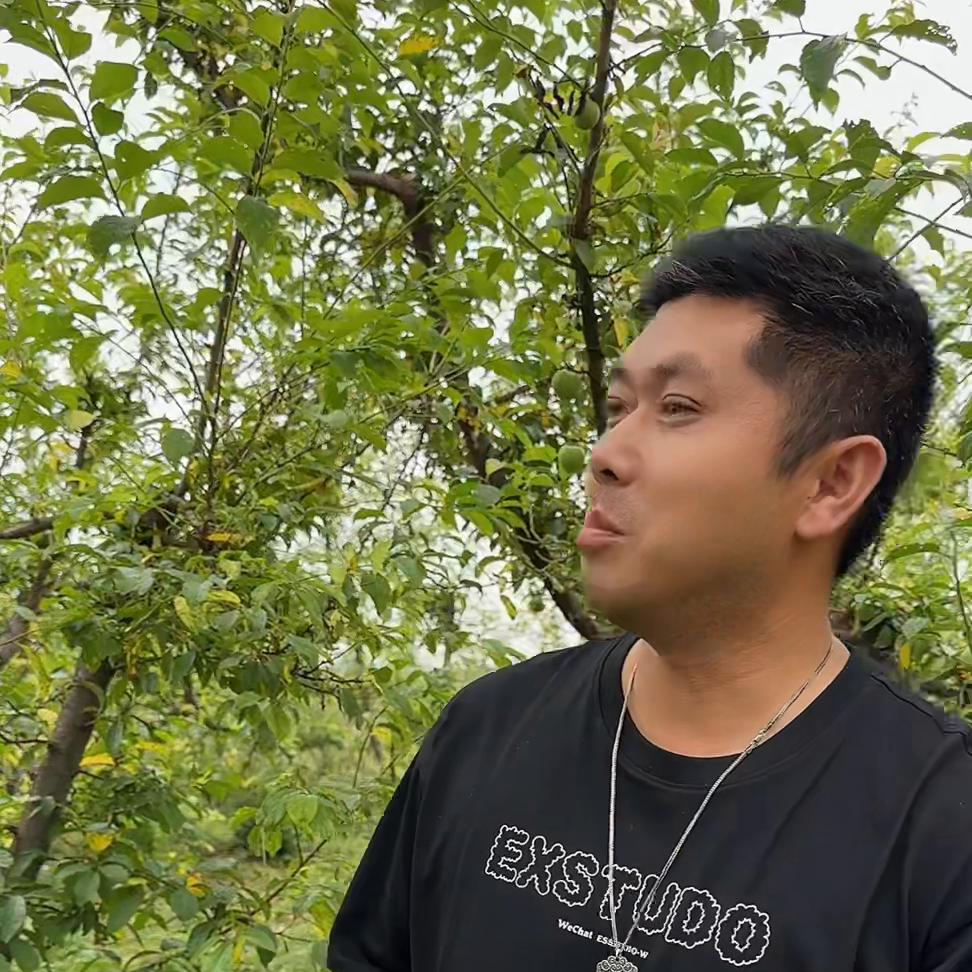 农业果园的出路,新农人创业遇到的坑