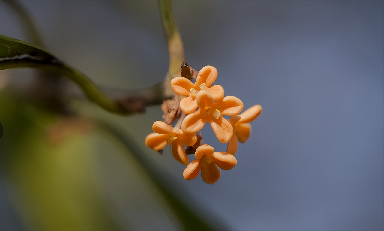 人到中年除了家人一无所有,人到中年唯一的依靠是能力与存款