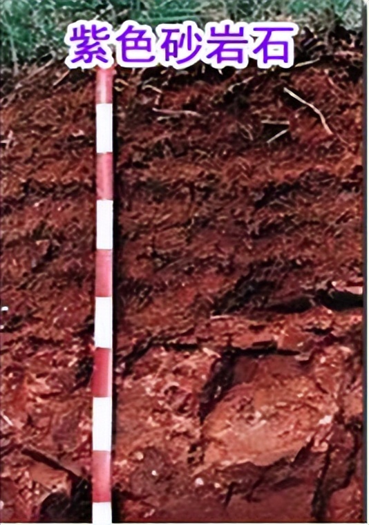 97香港回归赖茅纪念酒多少钱,97赖茅香港回归纪念酒是否为假酒