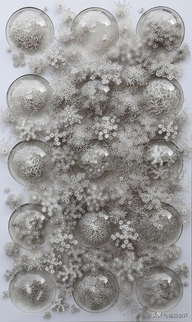 纸艺作品绘画,千变万化的纸艺术作品