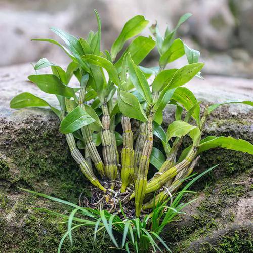 青年农村创业,100个小成本适合农村创业的小方法