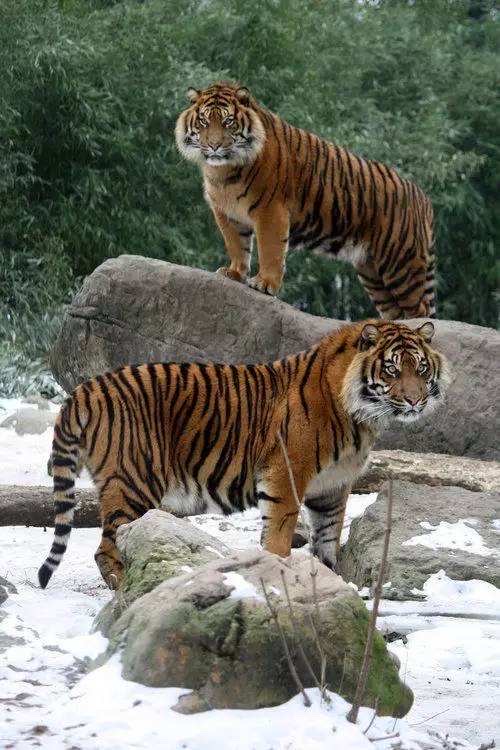 高高的紫云山,我们的青春故事曾在这里演绎