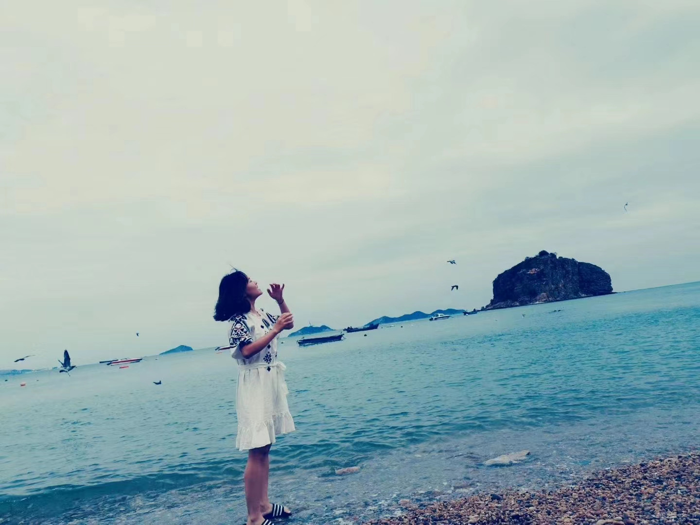 暑假去大连旅游好吗,暑假适合带孩子旅游大连