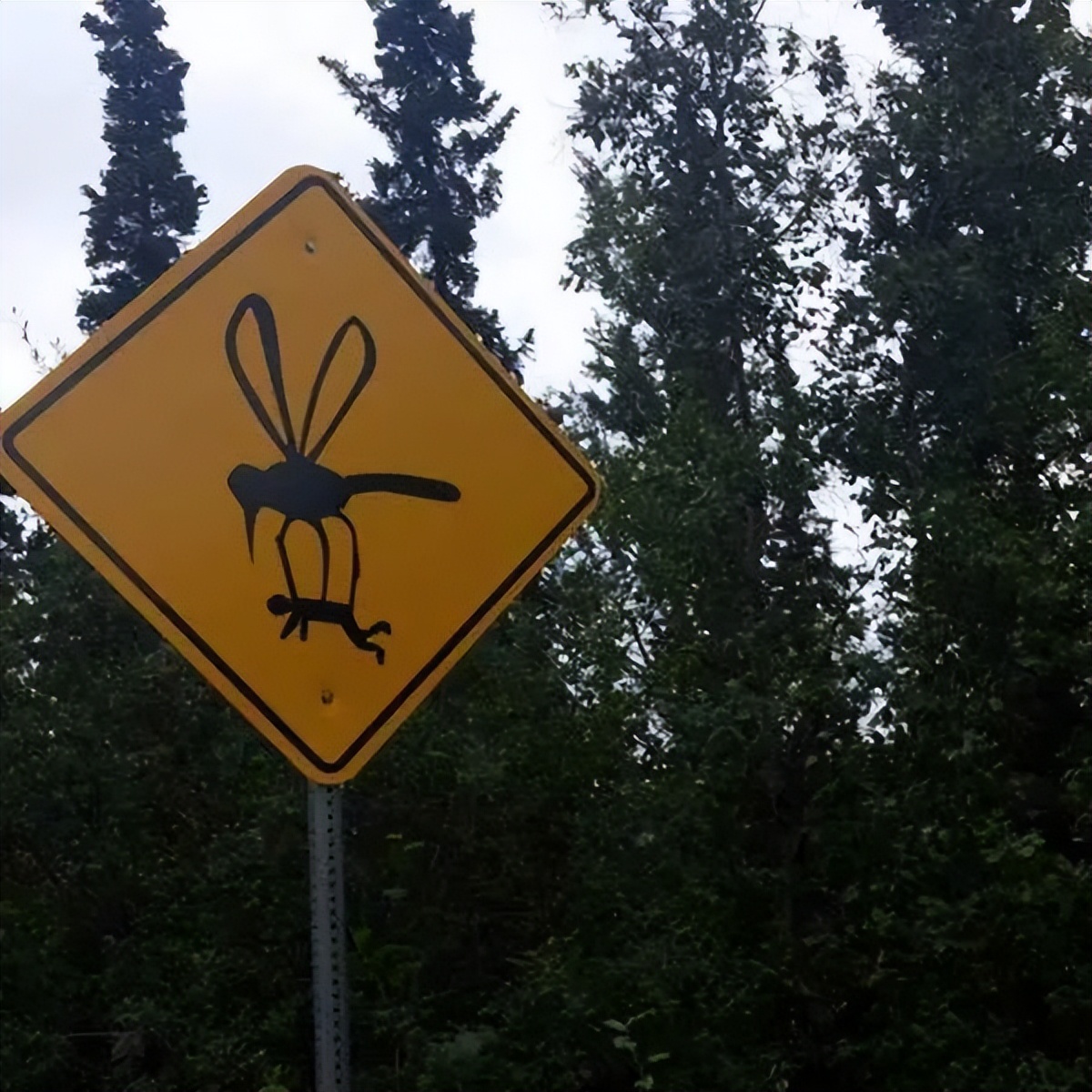 怪兽出没请避让,怪兽出没小心避让