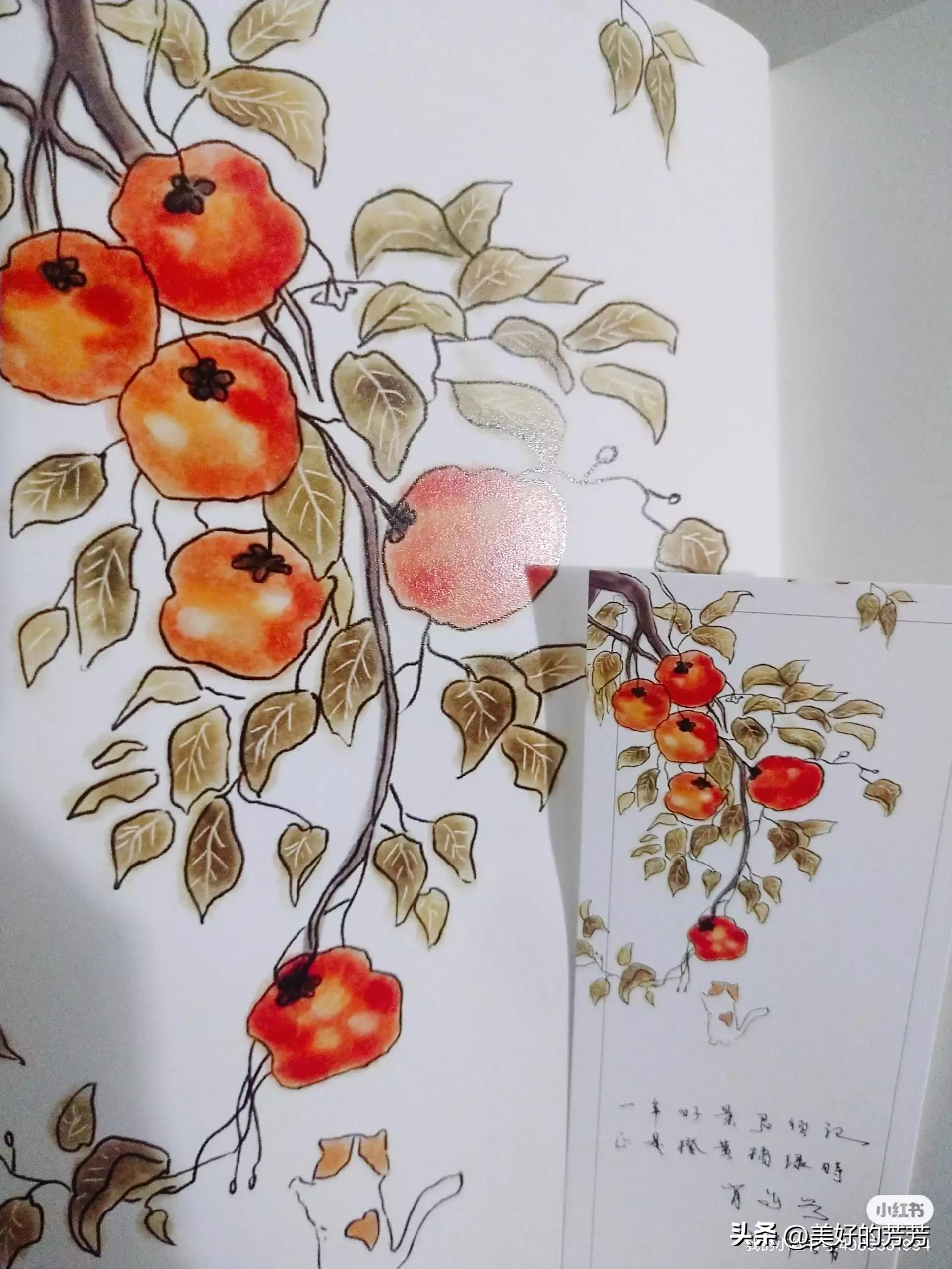 央视推荐的书,央视推荐的适合所有人看的书