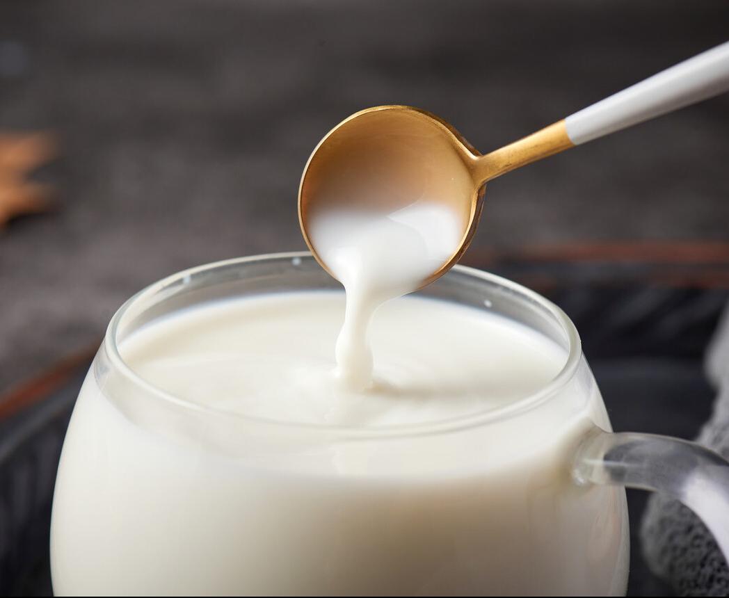 泰迪不能吃的全部食物,泰迪哪几种食物不能吃