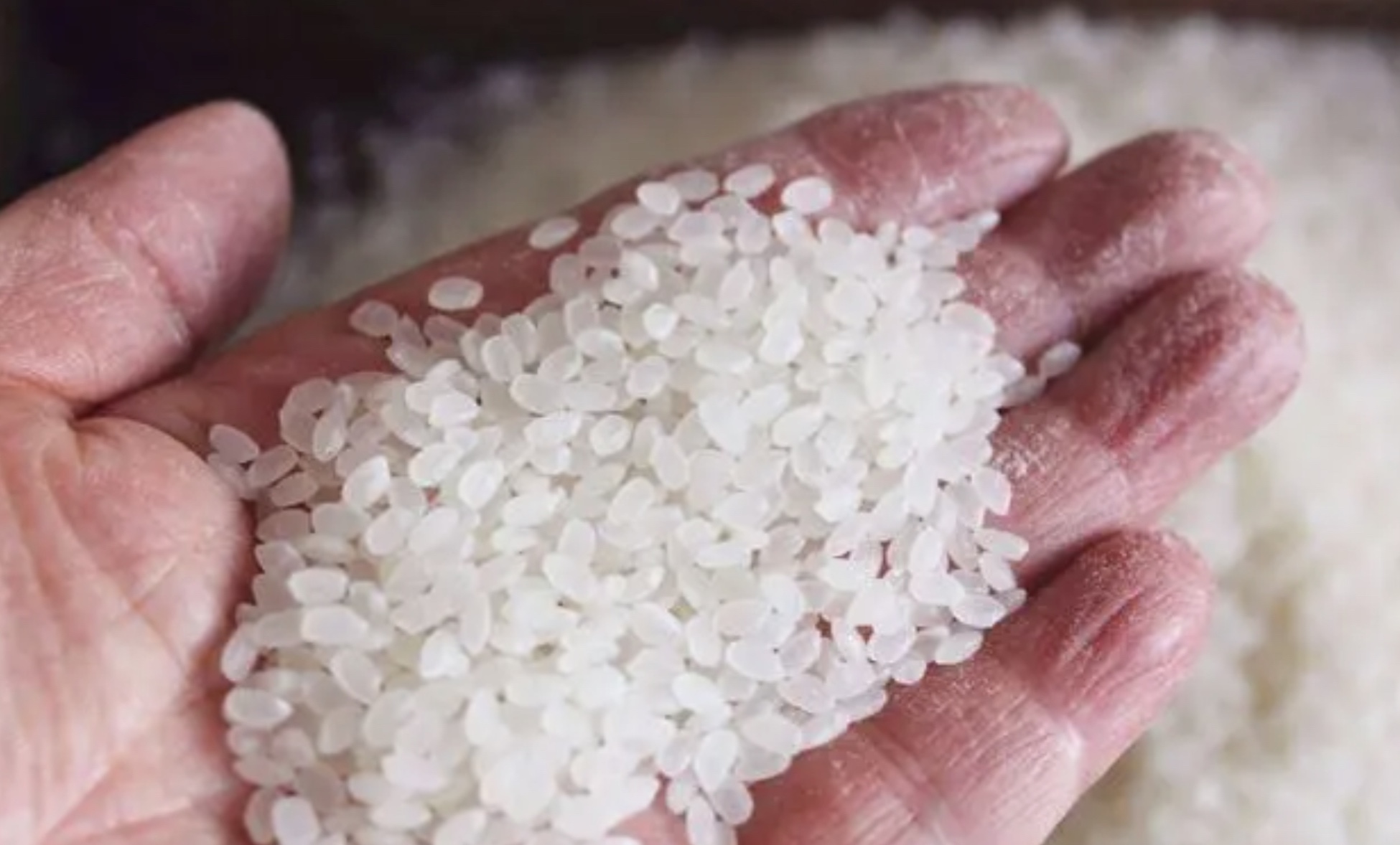 315香精大米事件梳理图片,315曝光的香大米是怎样处理的