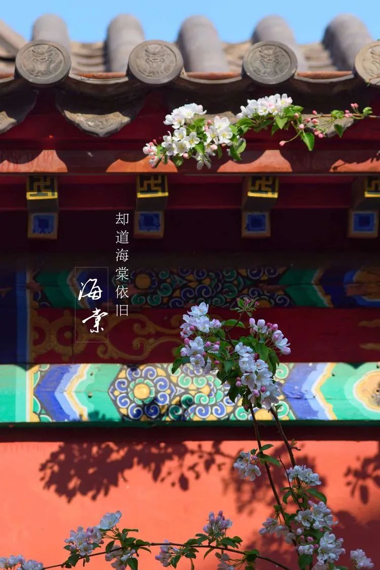 滦州古城都有哪些特色美景,滦州古城江南