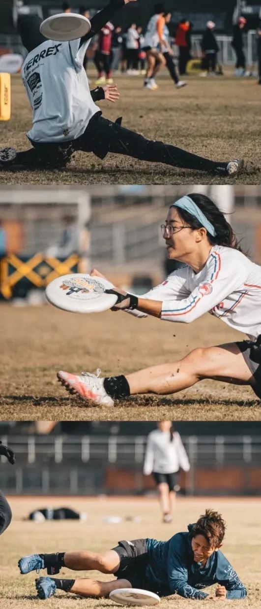 上海玩宠物,上海玩狗户外