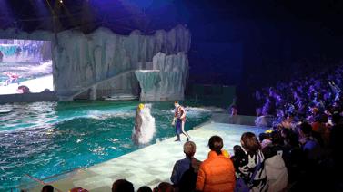 大无语事件!268元买了哈尔滨极地公园亲子票,被路人追着问了三条街!