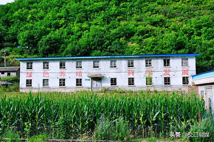 解德辉吕梁,解德辉山西吕梁