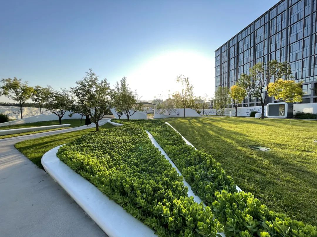 北京海淀光合公园在哪,海淀光合公园平面图