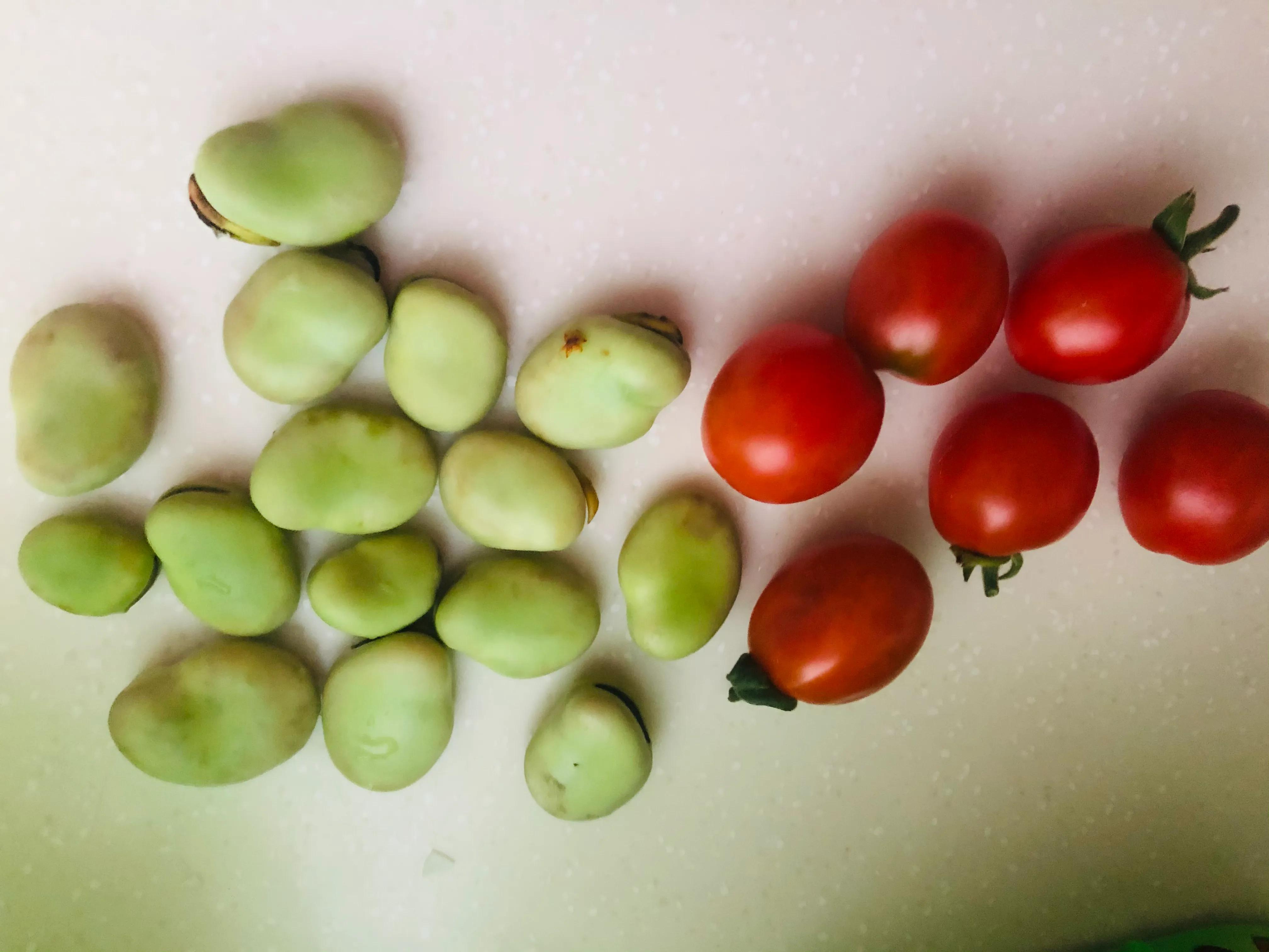 乐在其中自由自在,参与其中乐在其中意思