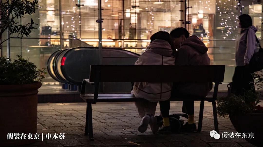 365张照片回顾,365张相片