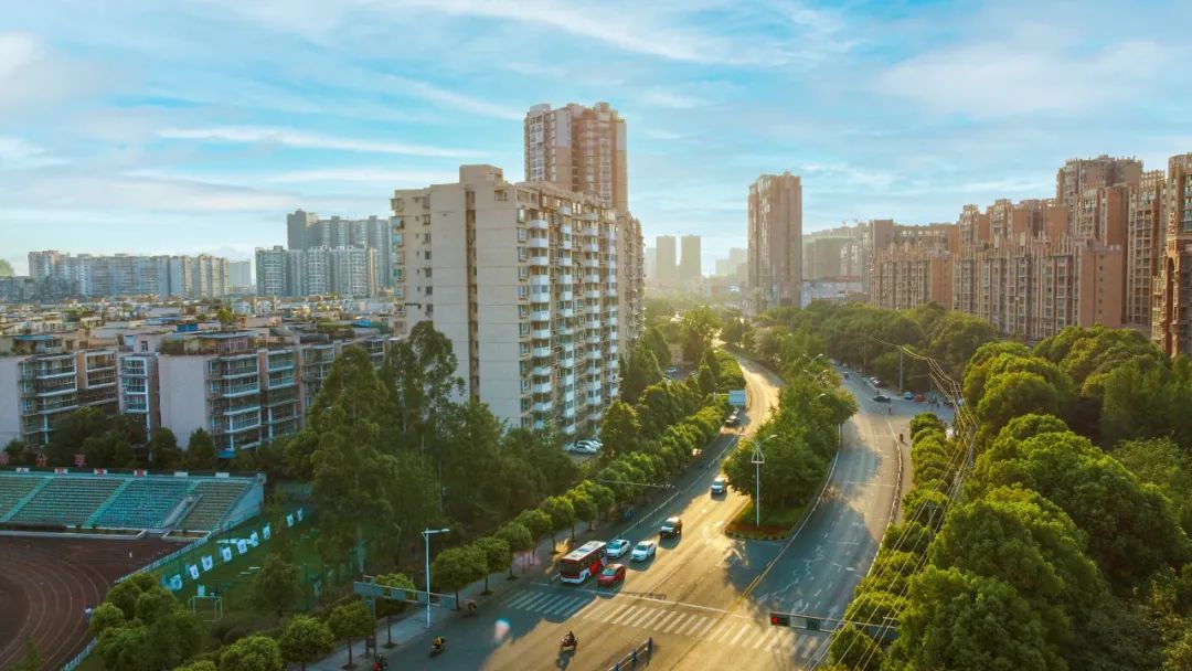 民生实事项目建议征集,青白江民生热线