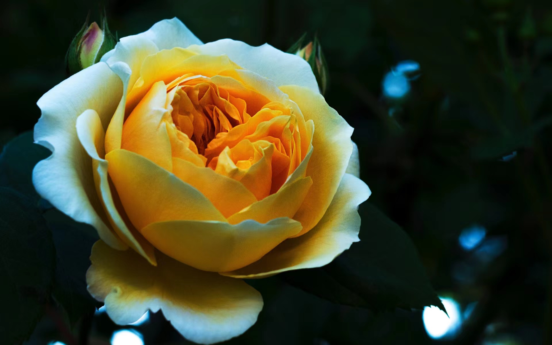 男人生气不理你你怎么给他发信息,当男人不理你怎么做才是最正确的