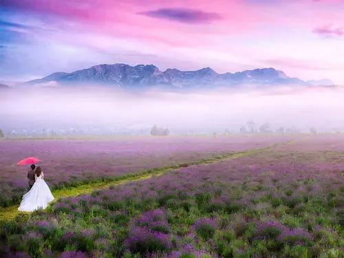 闺蜜小说知乎,闺蜜小说免费阅读