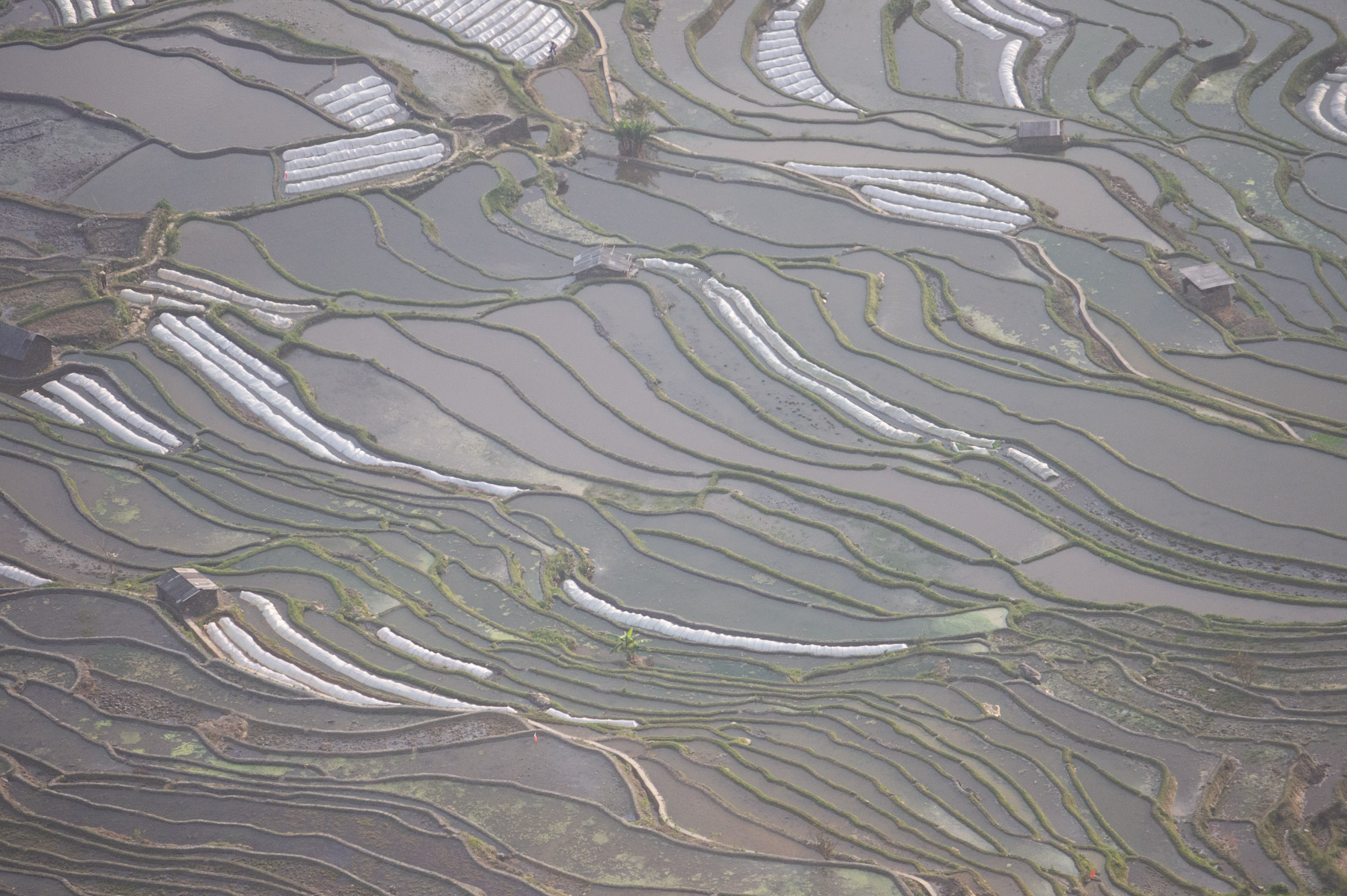 什么是raw格式和jpg格式,什么是raw格式拍摄