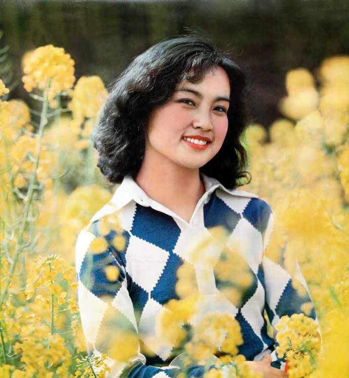 最佳女演员金鸡奖颁奖词,刘晓庆奚美娟金鸡影后