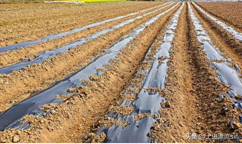 农膜涉及的违法犯罪,违规使用农膜处罚案例