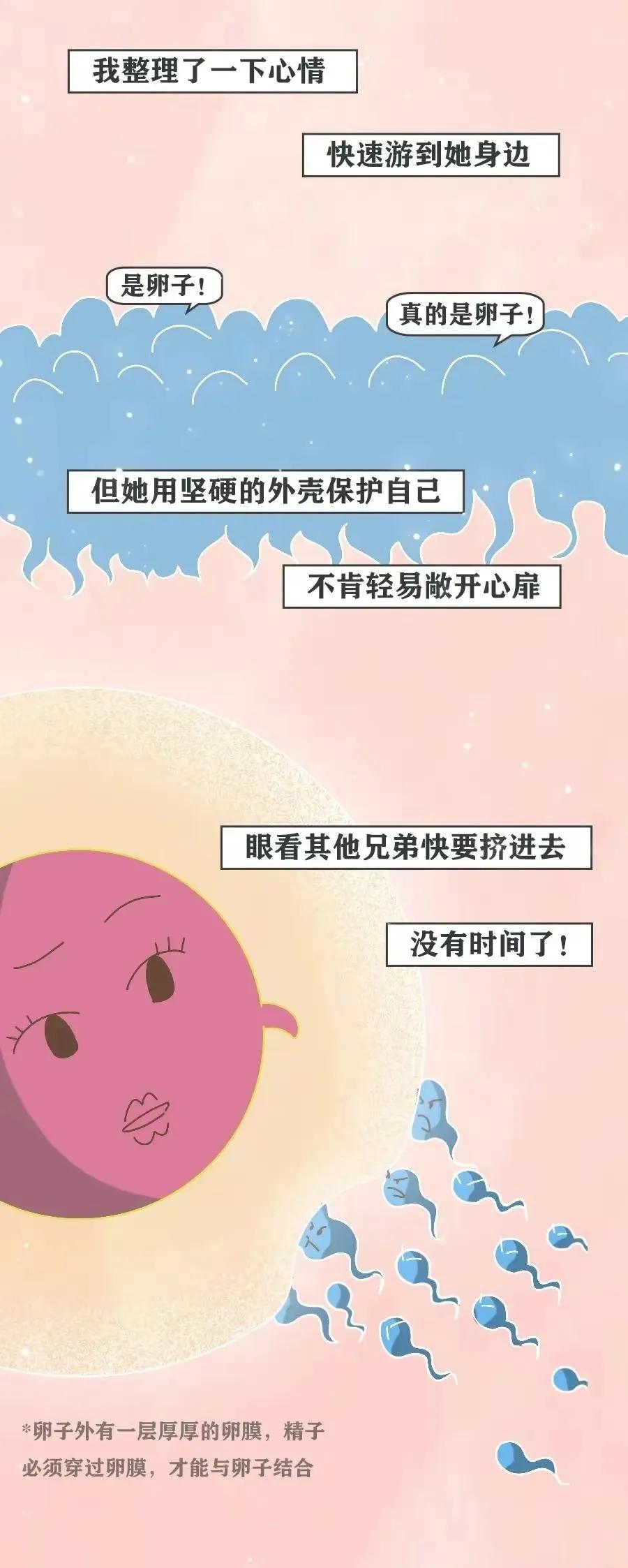 精子是怎么进入对方体内的，真是历经九九八十一难！