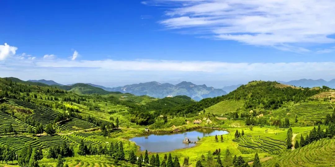 母亲节将至,送上这些长辈们都夸的“闽味侯礼”,孝顺又贴心!