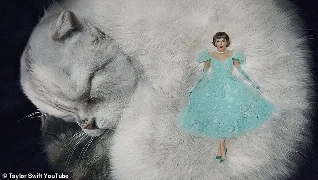 霉霉泰勒dreamitpossible,霉霉泰勒唱seeyouagain完整版