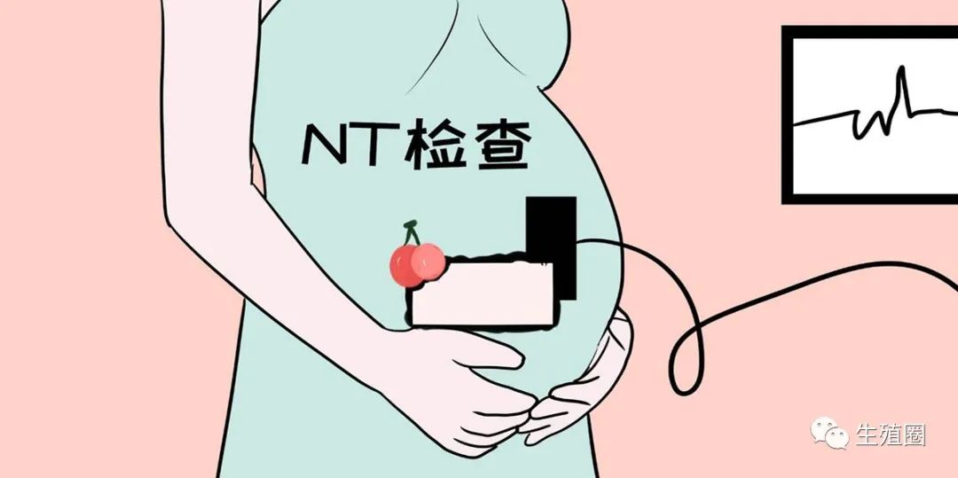 nt增厚史该如何备孕,nt增厚备孕
