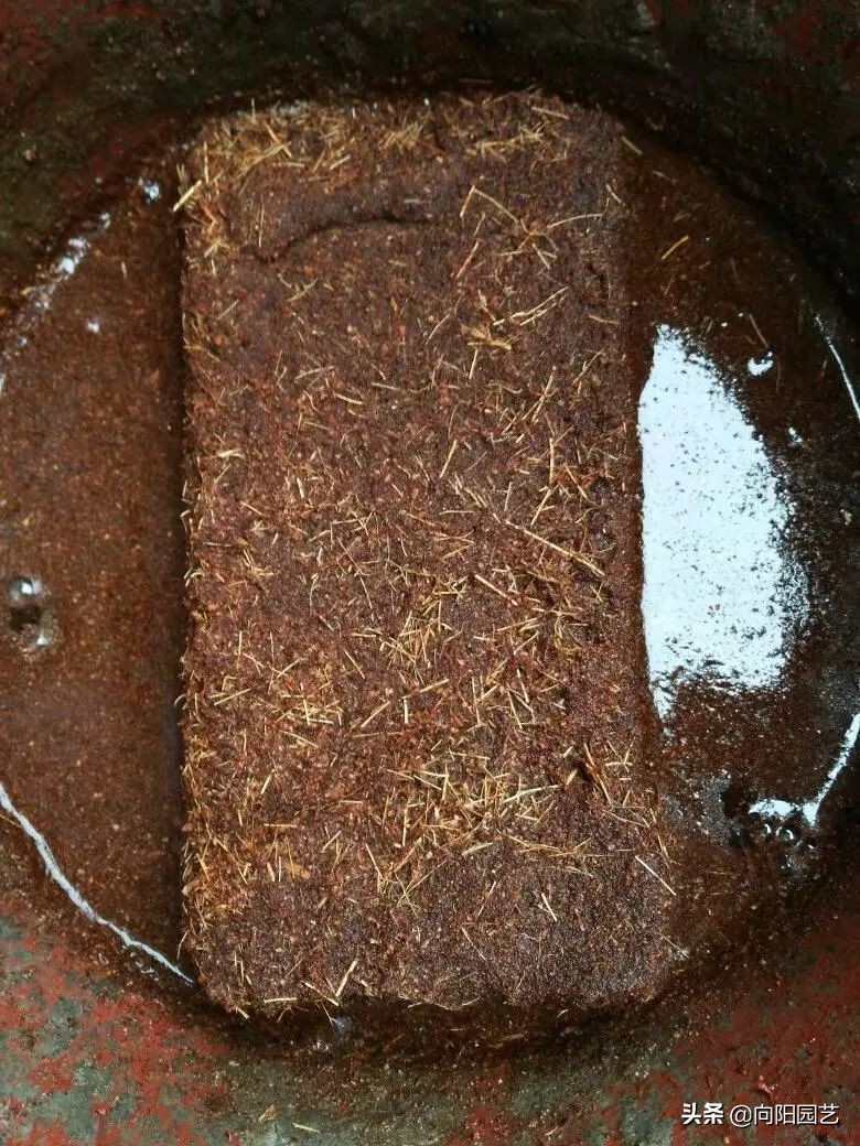 椰糠贵吗,椰糠土价格