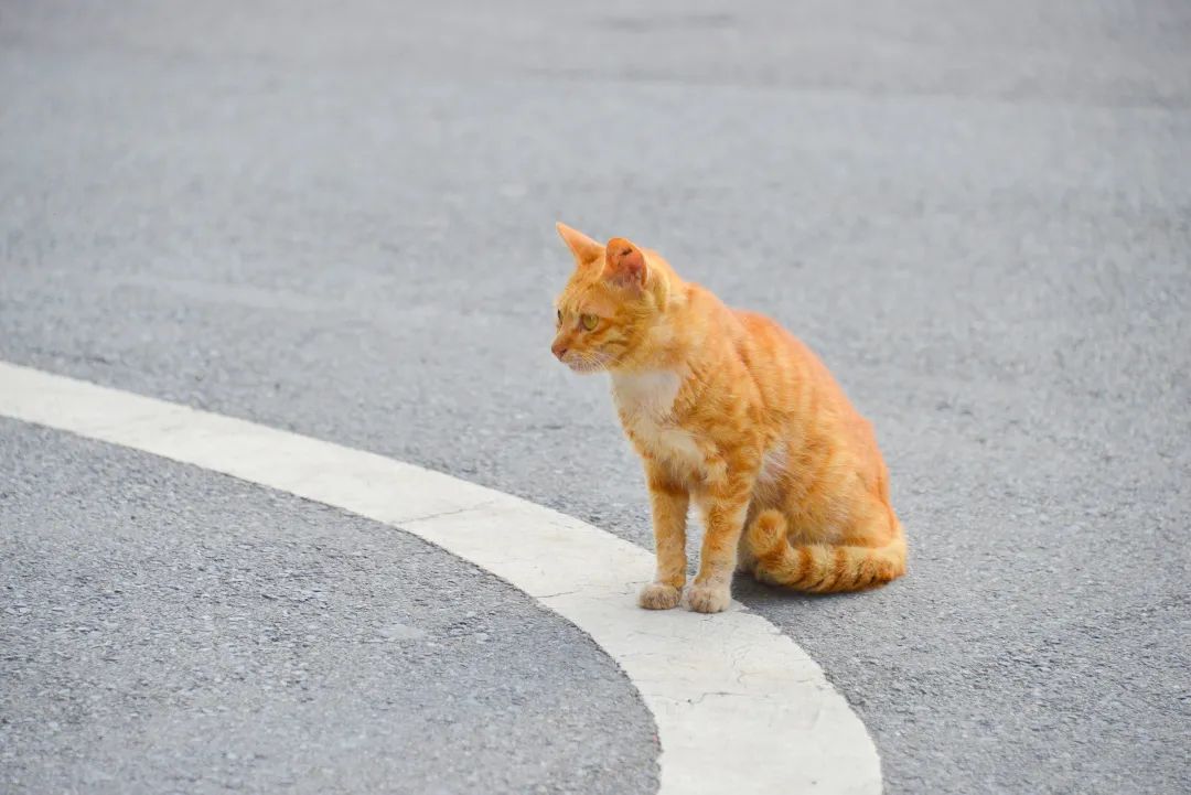 深圳市携创高级技工学校学费2021,深圳携创高级技工学校校区