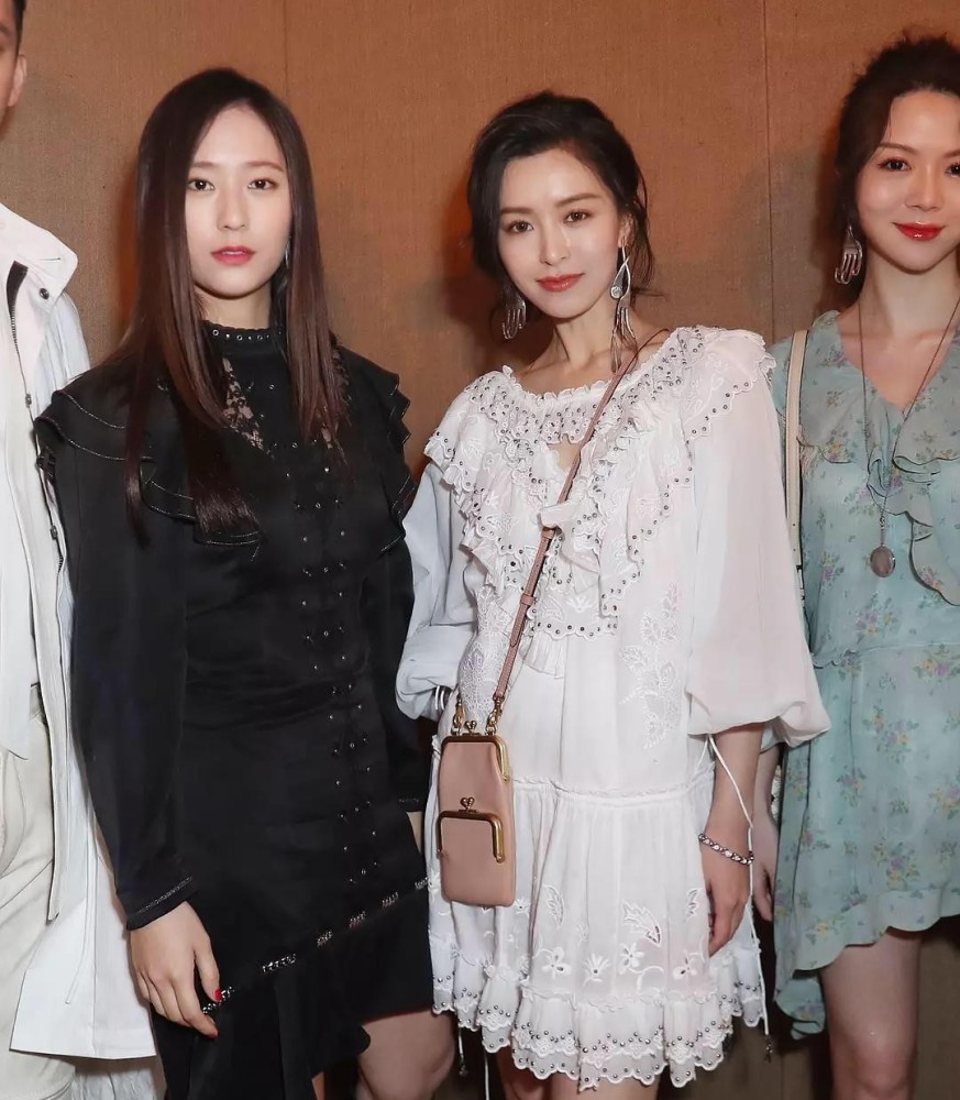 审美降级！不老女神从港风变成网红脸，网友认不出：低级太多