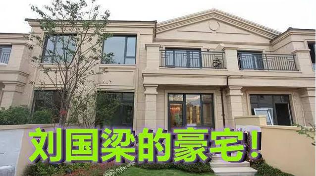 刘国梁待遇,国乒教练刘国梁工资多少