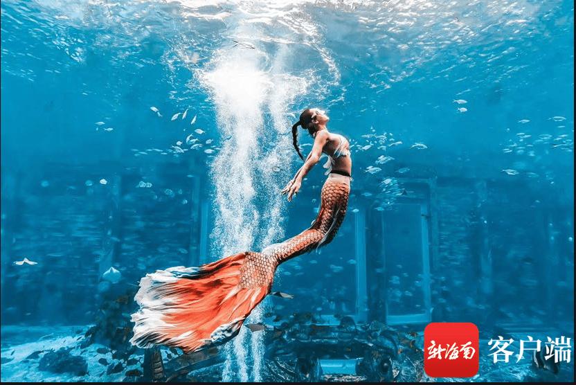 塑身健体的美人鱼潜水