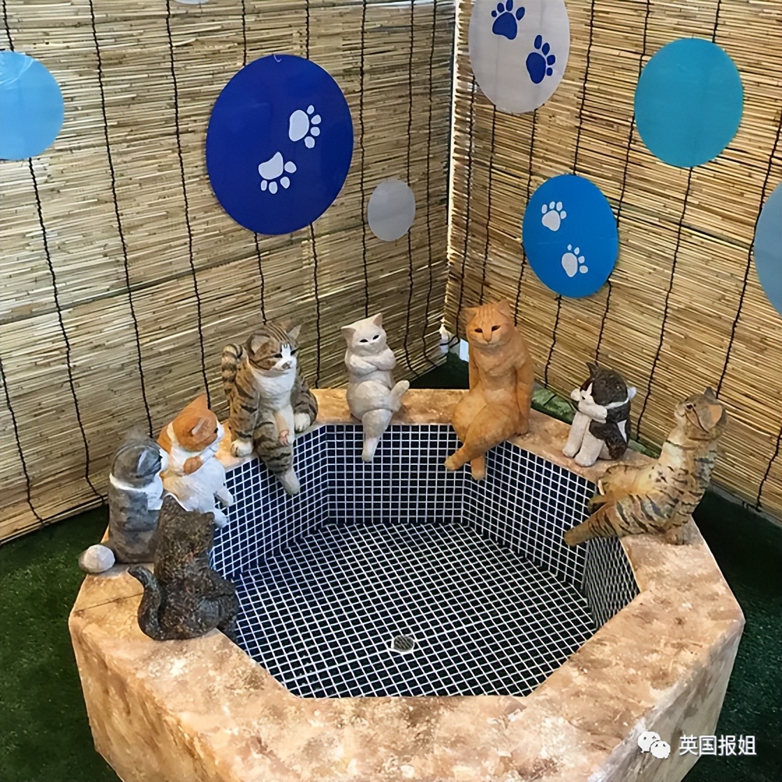 木头雕刻作品猫,手工雕刻木雕小猫