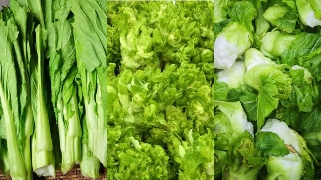 当一个南方人在北方吃西瓜,当一个南方人在北方点一个菜