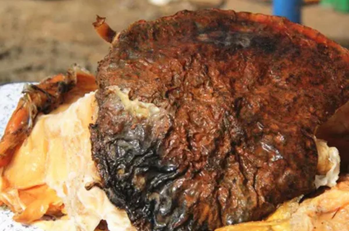 太岁中科院研究,太岁之谜神秘东西