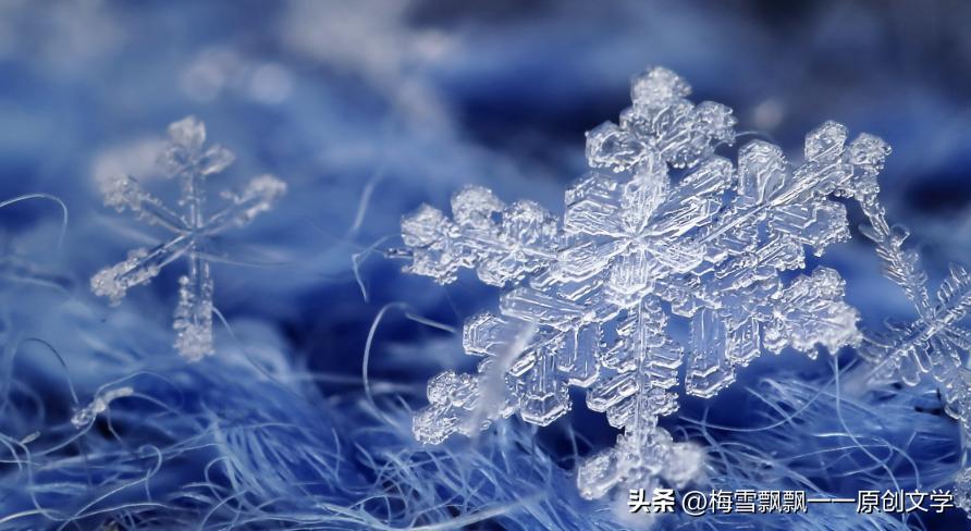 长篇当代军旅小说《军之恋·清冬栀子》（35）