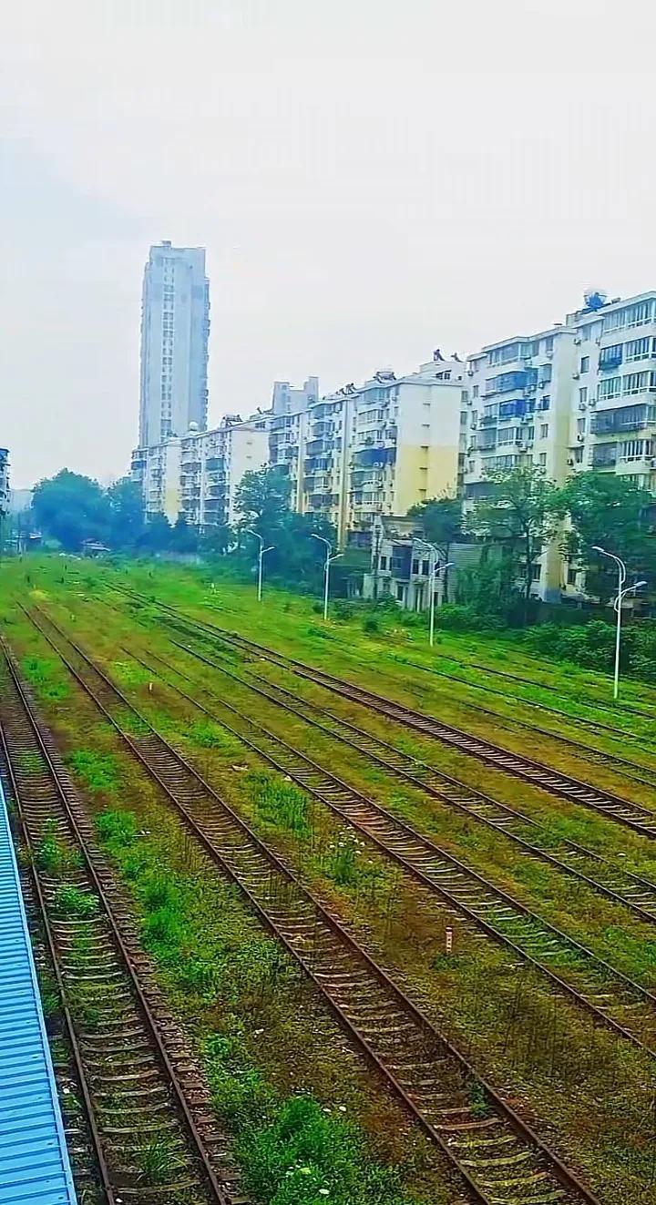 童年歌曲,童年罗大佑