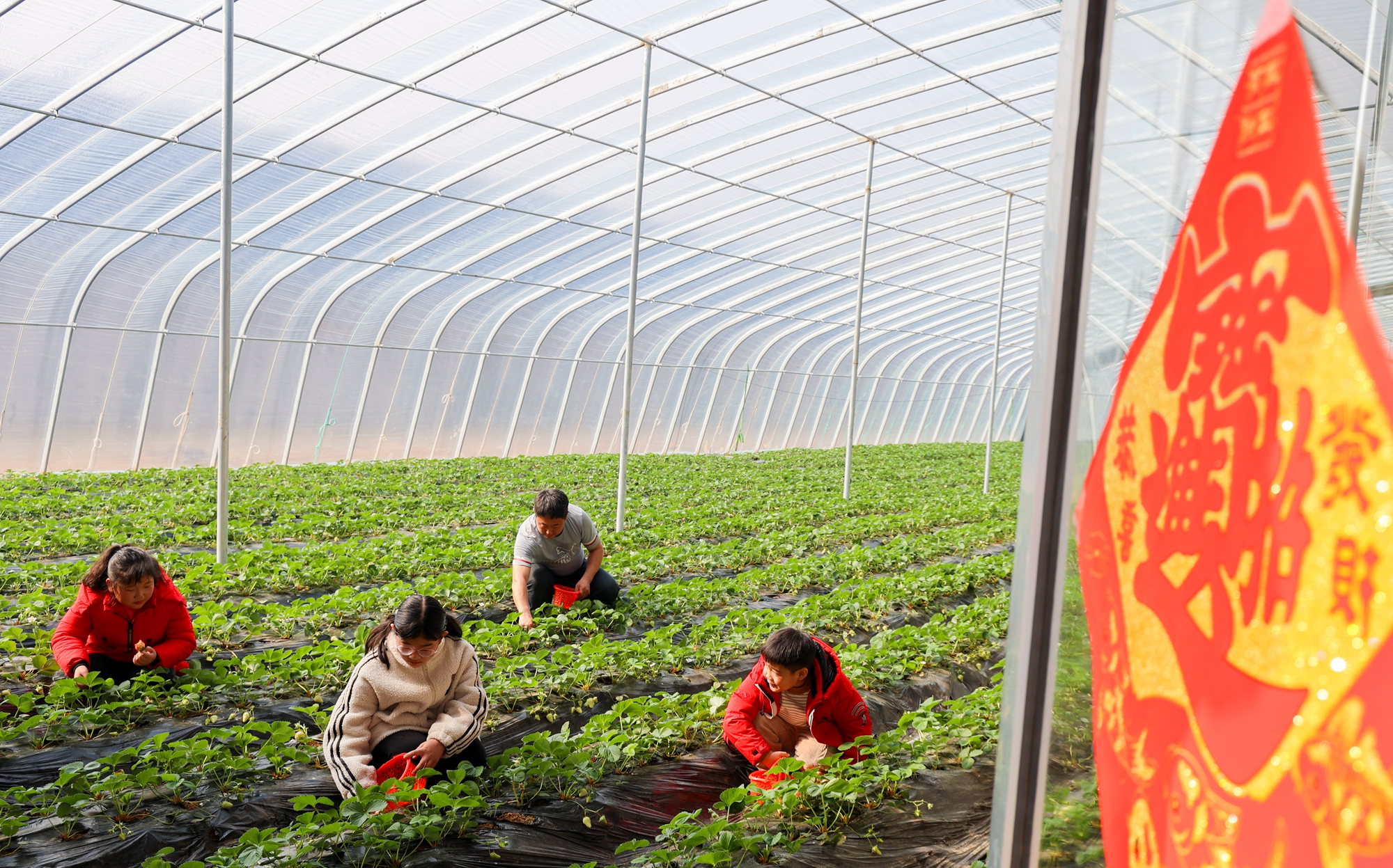 “云”上摄影展丨《徐村*光春**美人勤春来早》