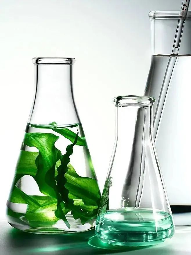 植物提取物是智商税嘛,植物提取物属于食品吗